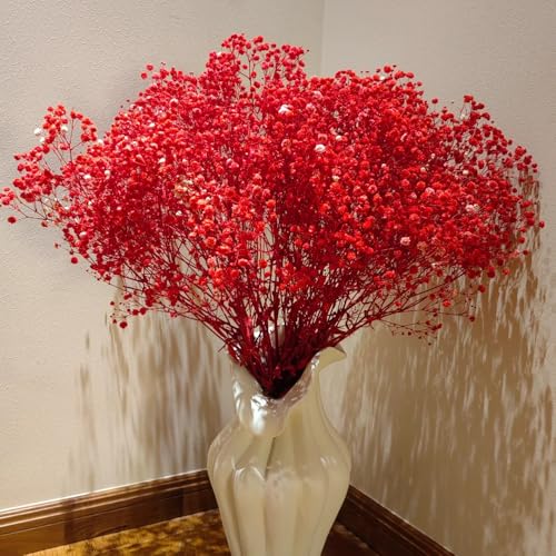 semi di gipsofila - semi di selvatici Gypsophila paniculata - esterno resistenti come per gli ospiti da giardino roccioso giardino roccioso 400pcs