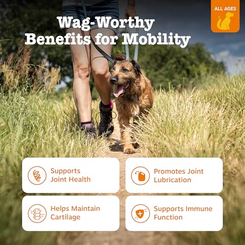 Zesty Paws Mobility Bites Joint Supplement for Dogs - Soft Chews with Glucosamine for Dogs, Chondroitin, & MSM + Vitamins C and E - Hemp ...