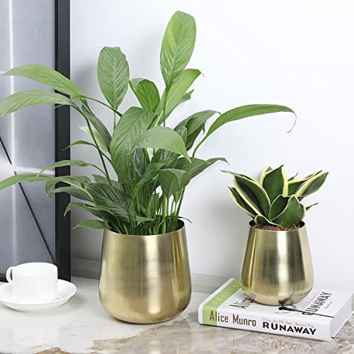 Mygift Modern Brass Brushed Metal Vase With Tapered Top, Cylindrical Planter Indoor Plant Pot, Set Of 2 - Handmade In India #TOP2