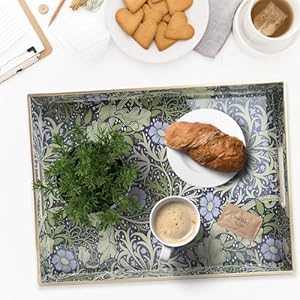 Spsyrine Serving Tray with Handles, Plastic Decorative Tray for Coffee Table, Living Room, Home Decor, Seaweed Spsyrine Serving Tray with Handles Plastic Decorative Tray for Coffee Table Living Room Home Decor Seaweed