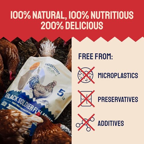 Image of Hatortempt 10lb Black Soldier Fly Larvae for Chickens, Feed for Laying Hens (Pack of 2)