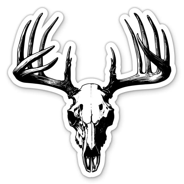 Buck Skull Sticker - for Water Bottle Phone Car Tumbler Laptop - Deer Hunting Decal - Waterproof Vinyl - 3'