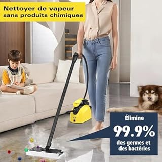 Nettoyeur vapeur multi-usages avec 21 accessoires, vapeur haute température de 120 °C pour sols, joints, carreaux, tapis, voitures – Réservoir portable de 1,08 l, sécurité enfant, nettoyage sans