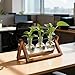 Renmxj Plant Propagation Stations with Wooden Stand & 3 Glass Bulb Vases - Plant Terrarium for Indoor Plants, Home Office Desk Decor, Gardening Gifts for Women Mom, Birthday Gifts for Plants Lovers