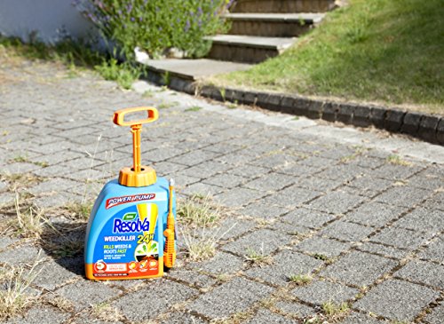 Resolva 24H Ready To Use Power Pump Weed Killer, 5 Litre 3 Resolva 24H Ready To Use Power Pump Weed Killer, 5 Litre - Image 3