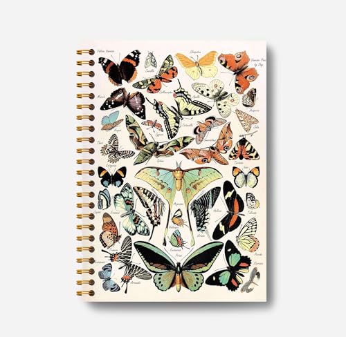 Carnet d'écriture à spirale Boho Moth avec 164 pages épaisses