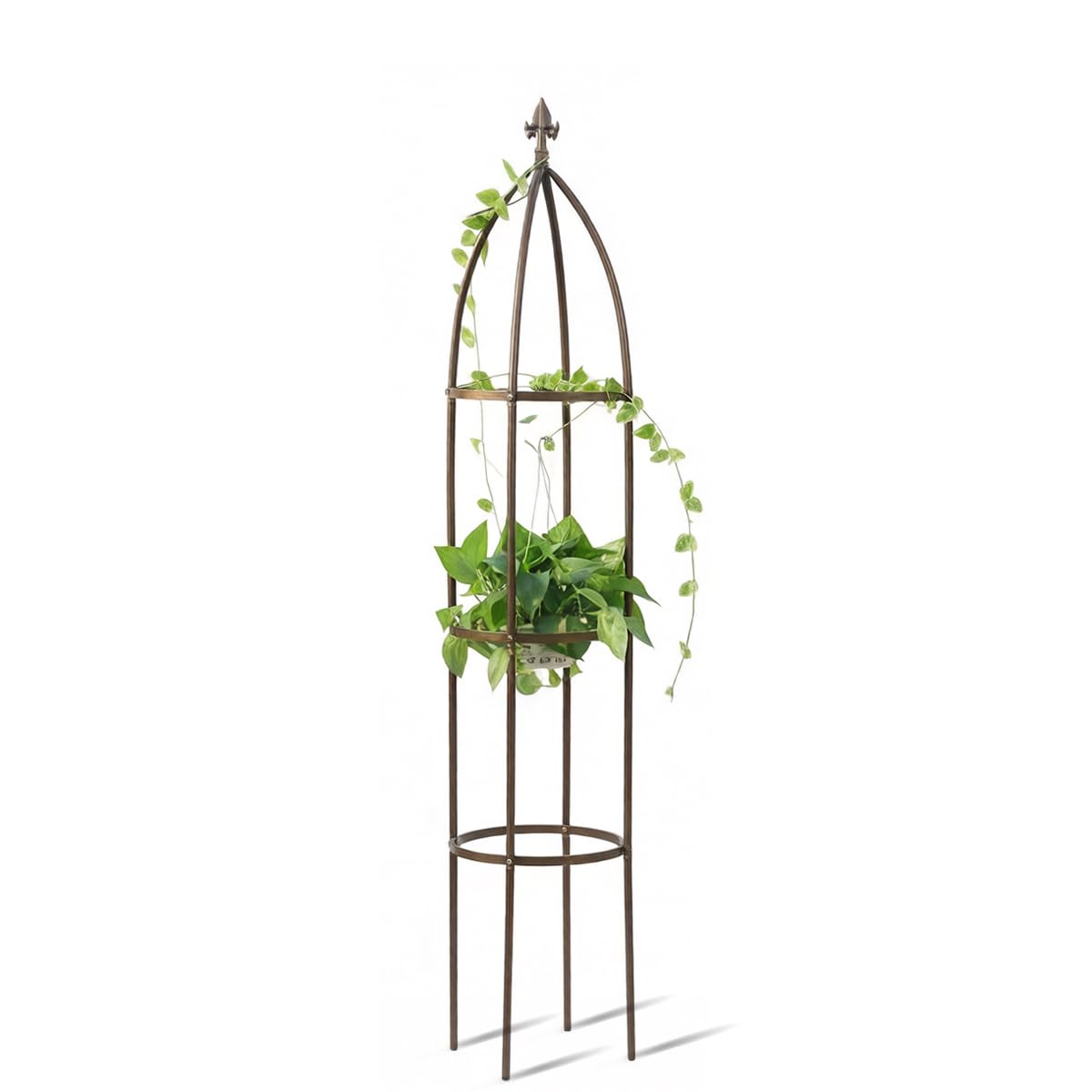 LeJoy Garden 5.5 ft Obelisk Garden Trellis