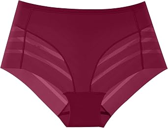 High Waisted Womens Layered Sheer Mesh Briefs Panties Diagonal Stripe Side Panels Solid Black Underwear Pack Full Coverage