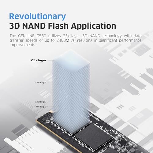 Image of KLEVV Genuine G560 1TB M.2 2280 NVMe PCIe Gen5x4 Internal SSD Heatsink Included, up to 13000MB /s with DRAM Cash (K01TBM2SP0-G56)