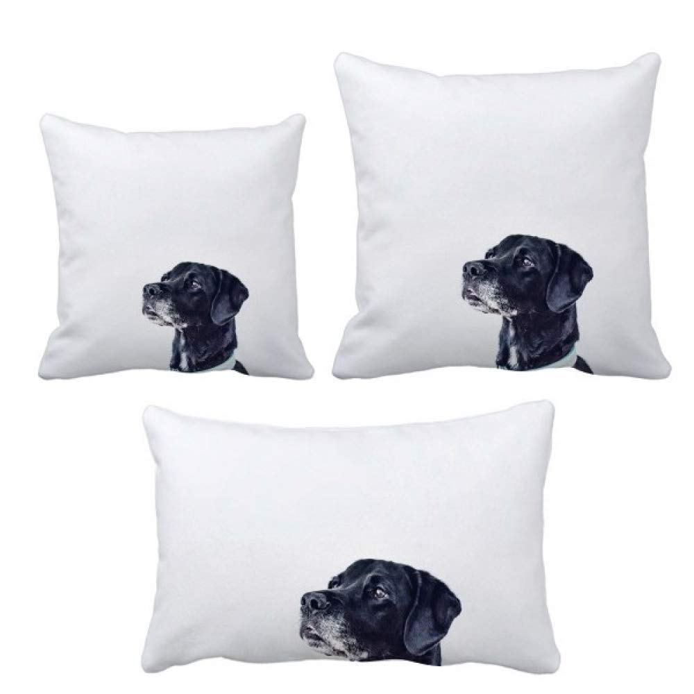 Housse de coussin pour chien blanc DIYthinker en coton pour décoration intérieure