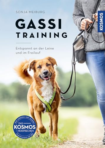 Gassi-Training: Entspannt an der Leine und im Freilauf
