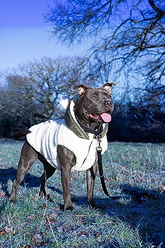 Rosewood Reversible Teddy Bear Coat/Parka for Dogs Large, Khaki - Image 4