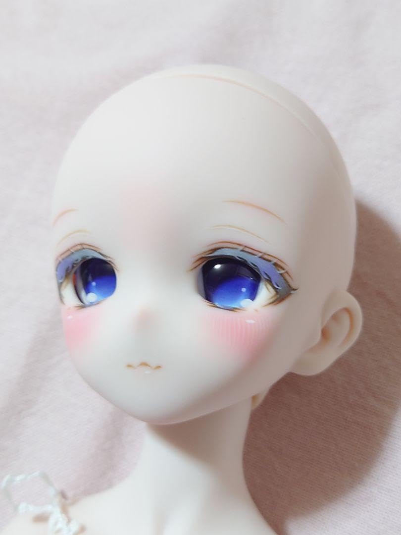 ディーラー様　カスタムヘッド　DDH-27 DD/DDH-27カスタムヘッド Y-25-04-02-032-YD-ZY : dollyteria