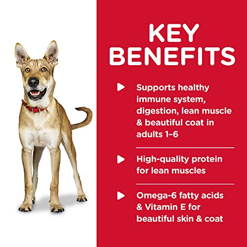 Hill’s Science Weight-reduction plan Moist Canine Meals Selection Pack, Grownup 1-6, Hen & Beef Entrées, 12.5 oz. Cans, 3 12-Packs Hill’s Science Weight-reduction plan Moist Canine Meals Selection Pack, Grownup 1-6, Hen & Beef Entrées, 12.5 oz. Cans, 3 12-Packs