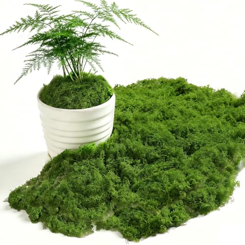 ChaneeHann 200 g musgo artificial verde escuro, para parede, quarto infantil, aquário, malas, plantas artificiais, decoração de quartos