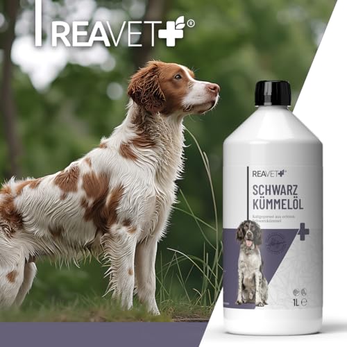 ReaVET Schwarzkümmelöl für Hunde & Pferde 500ml, Kaltgepresst aus echter Schwarzkümmelsaat Nigella Sativa, Reines Schwarzkümmel Öl zur Fellpflege & Fütterung mit Omega-6 & Omega-9