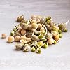 Organic Sprouting Seeds - Handy Pantry Sweet Protein Mix 1 lb. - Fava Bean, Mung Bean, Yellow Pea Seeds - High Protein Food for Daily Health or Food Storage - Easy and Delicious Organic Sprout Seed