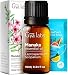 Manuka (East Cape) Essential Oil - 100% Pure Therapeutic Grade for Skin Conditions - 10ml
