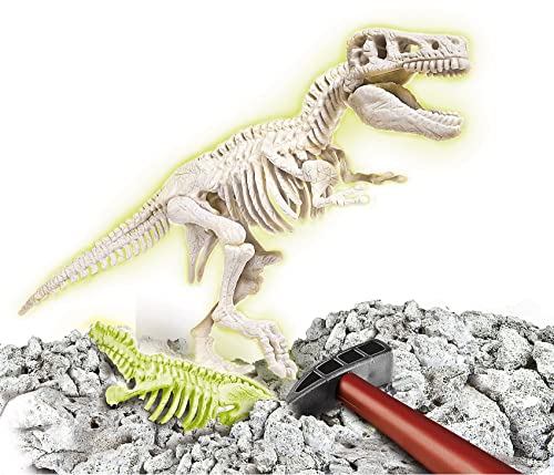 Clementoni Galileo Discovery – Ausgrabungs-Set T-Rex, Ausgraben von Dinosaurier-Fossilien mit Hammer & Meißel, für kleine Forscher, Spielzeug für Kinder ab 7 Jahren von Clementoni 69404