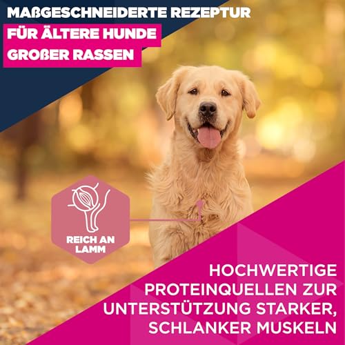 Eukanuba Senior Hundefutter mit Lamm und Reis für große Rassen - Premium Trockenfutter für ältere Hunde, 12 kg