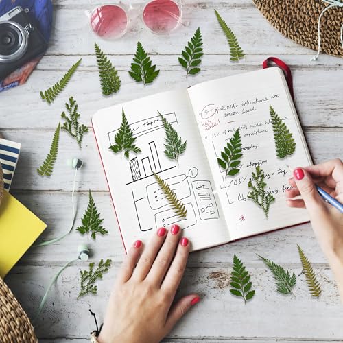 80 piezas de helechos verdes prensados secos para manualidades miniatura 7
