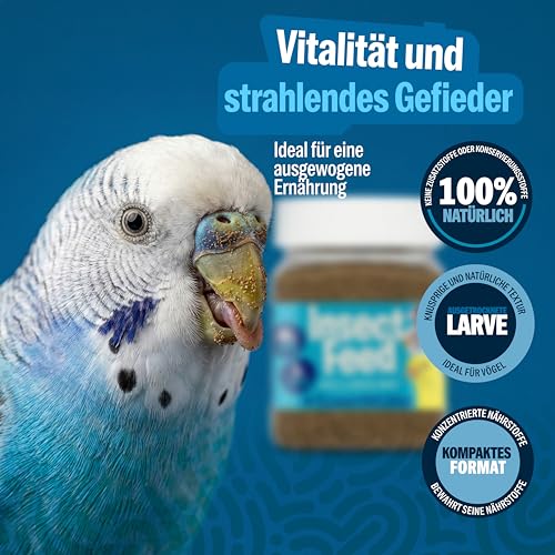Natürliches Insektenmehl Aus Larven Der Schwarzen Soldatenfliege Für Vögel - Proteinreich Und Kalziumhaltig Zur Ernährung Von Kanarienvögeln, Stieglitzen, Wellensittichen Und Wildvögeln