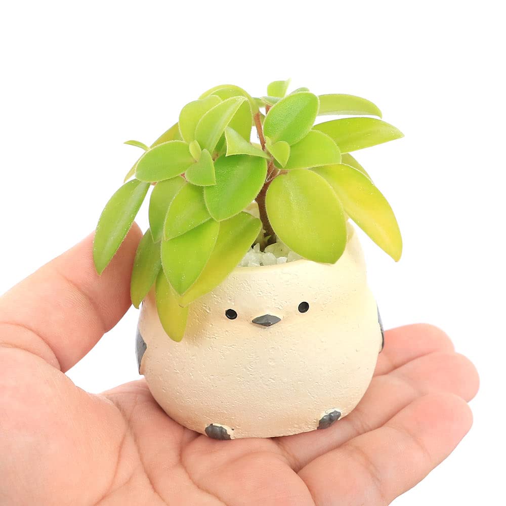 SALE】No.74もみの木＆シマエナガ♡かぼちゃのオブジェ固まるハー