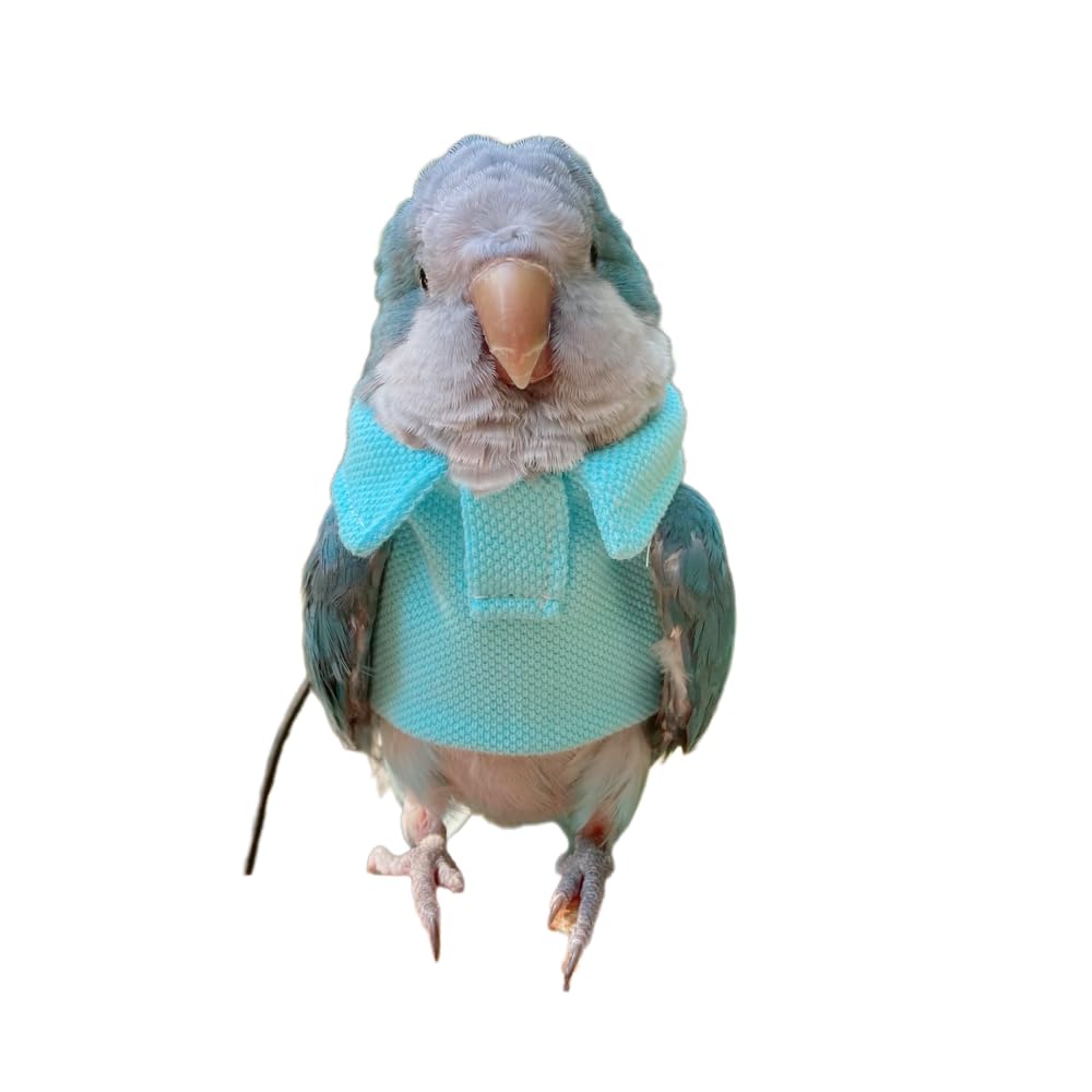 Parrot Bird Supplies, Light Flying Clothes, Warm and Comfortable, Tiger Skin, Green Cheek Parrot, Little Sun Parrot, Monk Parrot, Starling, mynah, Senegal Parrot, Mini Macaw Sweater (4XL)