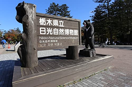 【日本の風景ポストカード】栃木県日光市　日光自然博物館看板絵葉書ハガキはがき photo by MIRO