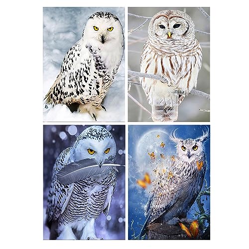 Kit peinture diamant hibou complet, une idée cadeau idéale pour passionnés de DIY