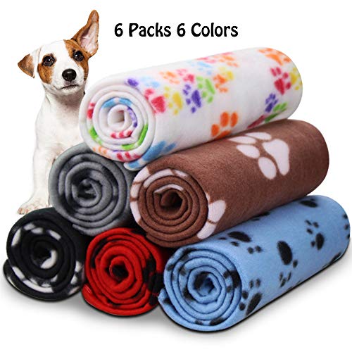 Best Cold Blanket For Dog