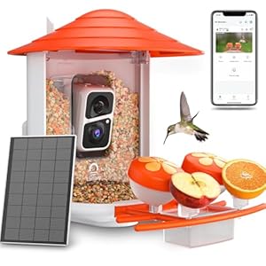 Lumary Bird Feeder with Camera, DIY Add-ons Hummingbird Feeder Solar Powered, Smart AI Identify Auto Capture Motion Detection Gift for Bird Lover