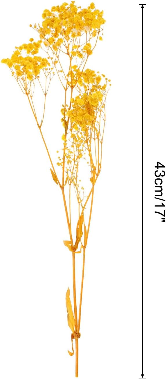 MECCANIXITY Dried Baby's Breath Flowers 17 Inch Light Yellow Natural Baby's Breath Branches for Wedding Party Home Decoration 2 Pcs