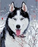 Ufilter 5d Pintura Diamante Punto de Cruz Animal Husky Mosaico Diy Trineo Perro Diamante Bordado Rhinestone Decoración Del Hogar Regalo de Año Nuevo...