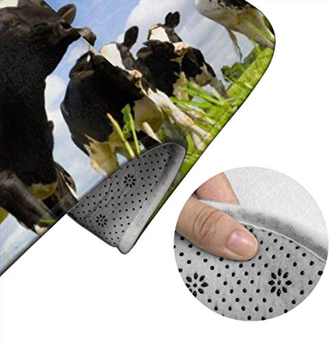 RedBeans Badvorleger mit Kuh-Motiv, rutschfest, 3-teiliges Flanell-Set, inkl. weicher Badematte, WC-Vorleger und WC… – Bild 5