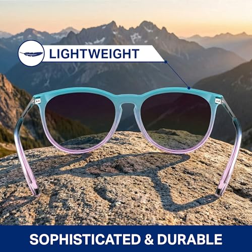 Image of Blenders Eyewear North Park X2 - Polarized Sunglasses - Classic Shape, Mixed Metal Frame - 100% UV Protection