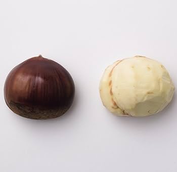 Amazon｜貝印 KAI 栗の皮むき器 栗の殻向き器 栗 むけちゃいまし