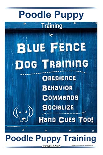 Poodle Puppy Training By Blue Fence Dog Training, Obedience – Behavior, Commands – Socialize, Hand Cues Too! Poodle Puppy Training