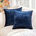 MIULEE Federe per Cuscini 2 Pezzi in Velluto Copricuscini Quadrato Resistente e Moderno Decorativo Moribido Elegante per Soggiorno Salotto Cameretta Casa Ufficio 45X45 CM Blu Navy