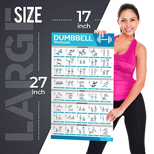 12-Pack Laminated Large Workout Poster Set - Perfect Workout Posters For Home Gym - Exercise Charts Incl. Dumbbell, Yoga Poses, Resistance Band, Stretching, Kettlebell & More Fitness Gym Posters