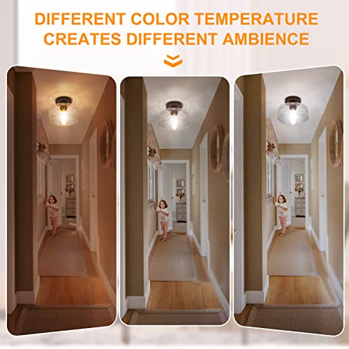 Industrial Semi-Flush Mount Ceiling Light, Seeded Glass Pendant Lamp Shade, Brown Farmhouse Lighting For Hallway Porch Corridor Kitchen Bedroom, Modern Indoor Hanging Light Fixtures, Bulb Not Included #TOP2