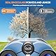 BNISE Kompaktes Fernglas für Erwachsene & Kinder, 10 x 25 Echte Optik für Outdoor, Reisen & Camping, Blau