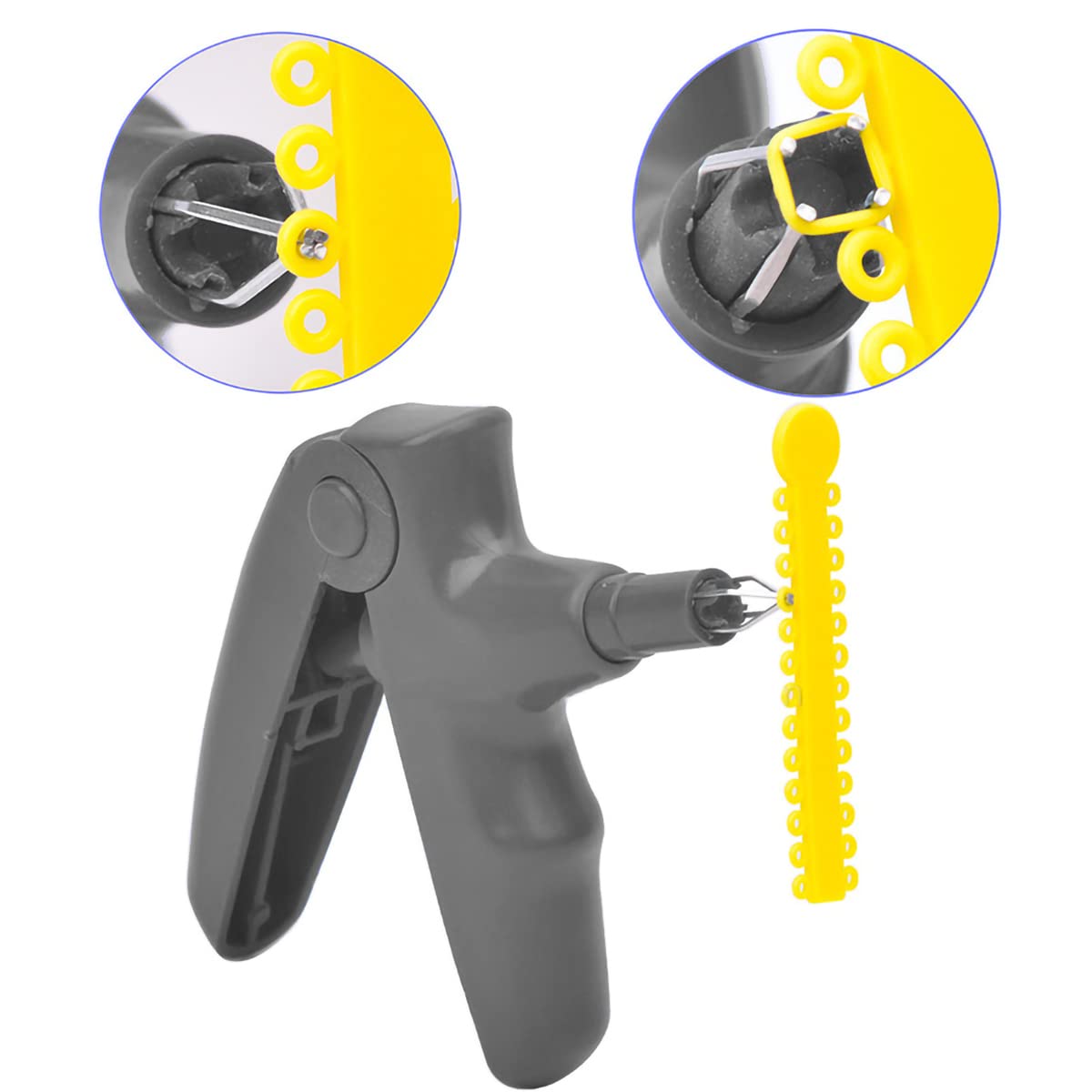 Buy Dental Orthodontic Ligature Ties and Orthodontic Ligature Gun Tools