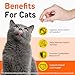 Hip & Joint Bites for Cats - Cat Joint Supplement,Chicken Flavored Glucosamine Joint Supplement for Cats - Cat Joint Supplement for HIPS & Joints, Cat Arthritis Pain Relief, with Green Lipped Mussel