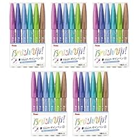 6/0417y02 ぺんてる 筆ペン ブラッシュサインペン 12色セット 6/0417y02 ぺんてる 筆ペン ブラッシュサインペン 12色セット