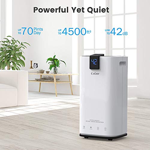 COLZER 4,000 SQ FT Home Dehumidifiers for Basements & Large Rooms, 70 Pints Large Removal Capacity with 7.4-Pint Water Bucket & Continuous Drain Hose for Self-draining - Thumbnail 3