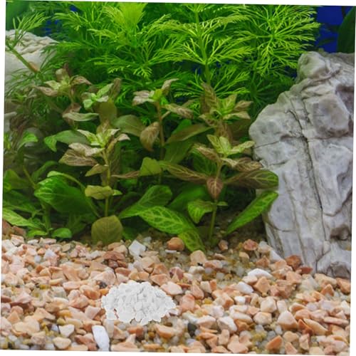 Galets blancs pour pots de fleurs et terrasses minérales - 5