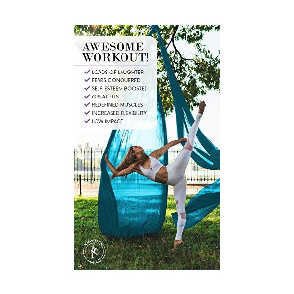 Professional-11-Yards-Aerial-Silks-Equipment-for-All-Levels-Medium-Stretch-Aerial-Yoga-Swing-Hammock-Kit-Perfect-for-Indoor-Outdoor-Aerial-Dance-Circus-Arts--ALL-Hardware-Included Professional 11 Yards Aerial Silks Equipment for All Levels - Medium Stretch Aerial Yoga Swing & Hammock Kit - Perfect for Indoor Outdoor Aerial Dance, Circus Arts – ALL Hardware Included (Sky Blue)