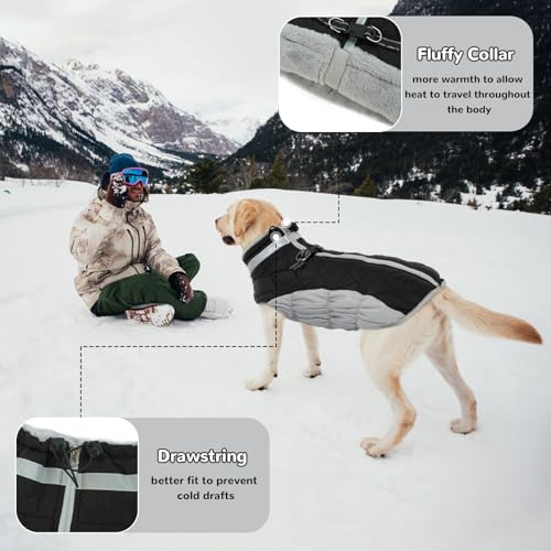 Hjumarayan Hundemantel für Kleine Mittelgroße Grosse Hunde, Hundejacke Warme Hundeweste Wintermantel Hund Wasserdicht Hunde Mantel Gefüttert, Hundemantel Französische Bulldogge (Schwarz M)