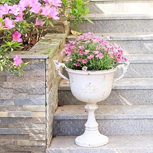 Worthgarden21hmetalurnplanters2packwhiteclassicantiqueironplantpotsdecorativerusticflowerpotsforoutdoorusetraditionalurnplanterforgardenpatiofrontporch Urban Country Home Decor Worth garden 21 h metal urn planters 2 pack white classic antique iron plant pots decorative rustic flower pots for outdoor use traditional urn planter for garden patio front porch urban country home decor